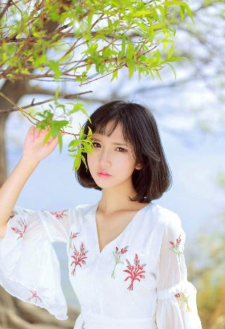 金花瓶楷梅花2杨贵妃